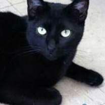 Thumbnail photo of Keoto #1