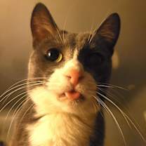 Thumbnail photo of Eleanor #2