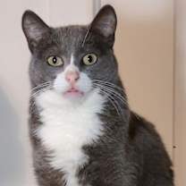 Thumbnail photo of Eleanor #3