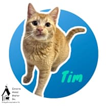 Thumbnail photo of Tim #1