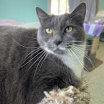 Thumbnail photo of Amber #1