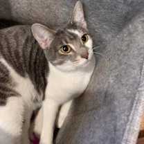 Thumbnail photo of Lil #2
