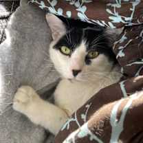 Thumbnail photo of Bruce #3