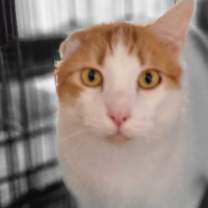 Thumbnail photo of Wednesday #2