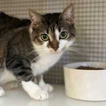 Thumbnail photo of Betty #1