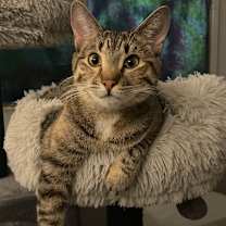 Thumbnail photo of Louise #1