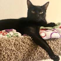 Thumbnail photo of Dulce 0364 #1