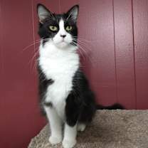 Thumbnail photo of Jamison aka Jamie #2
