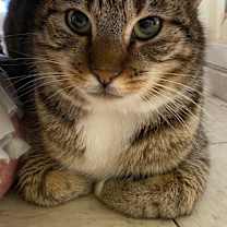 Thumbnail photo of JEFFIE #1