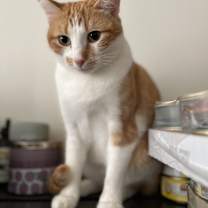 Thumbnail photo of Lyla #2