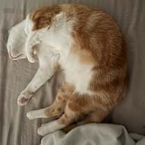 Thumbnail photo of Lyla #4