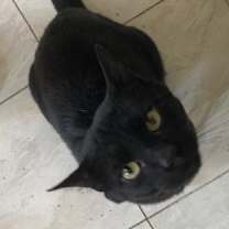 Thumbnail photo of Oscar #1