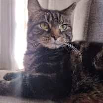 Thumbnail photo of Regina #2