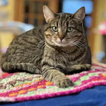 Thumbnail photo of Caroline #4