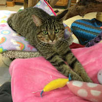 Thumbnail photo of Caroline #2