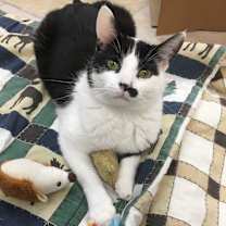 Thumbnail photo of Charlie #2