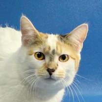 Thumbnail photo of Princess Rocky #1