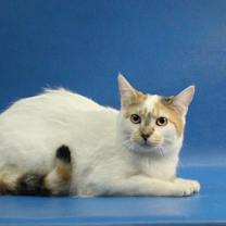 Thumbnail photo of Princess Rocky #2