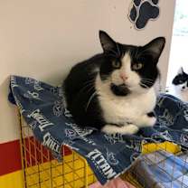 Thumbnail photo of EDEN! #3