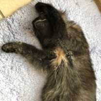 Thumbnail photo of STORM! #2