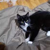 Thumbnail photo of Stevie and Stacy #2