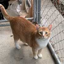 Thumbnail photo of Willy #1