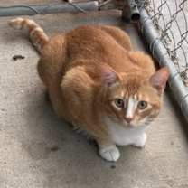 Thumbnail photo of Willy #2