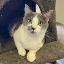 Thumbnail photo of Benny #2