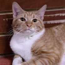 Thumbnail photo of Gabriel #2