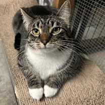 Thumbnail photo of Stormy #1