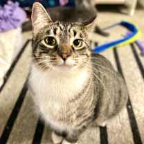 Thumbnail photo of Stormy #2