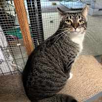 Thumbnail photo of Stormy #3