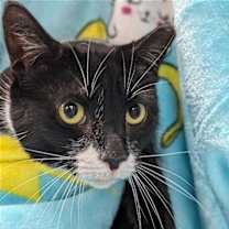 Thumbnail photo of Fiona #1