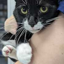 Thumbnail photo of Fiona #2