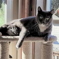 Thumbnail photo of Benny Lew #2