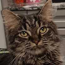 Thumbnail photo of Clarita #1