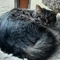 Thumbnail photo of Clarita #3