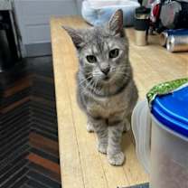 Thumbnail photo of ZOE #2