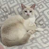 Thumbnail photo of Smudgey #1