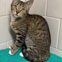 Thumbnail photo of Celine #2