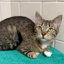 Thumbnail photo of Celine #3