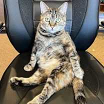 Thumbnail photo of Dutchess #2