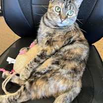 Thumbnail photo of Dutchess #3