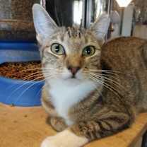 Thumbnail photo of Bunny #4