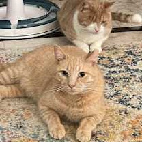 Thumbnail photo of Luca #2