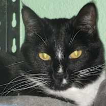 Thumbnail photo of Marble #1
