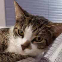 Thumbnail photo of Georgia #2