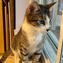 Thumbnail photo of Georgia #3