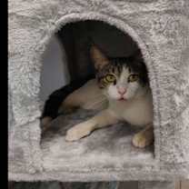 Thumbnail photo of zz - Kiwi #2