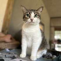 Thumbnail photo of Leia #1